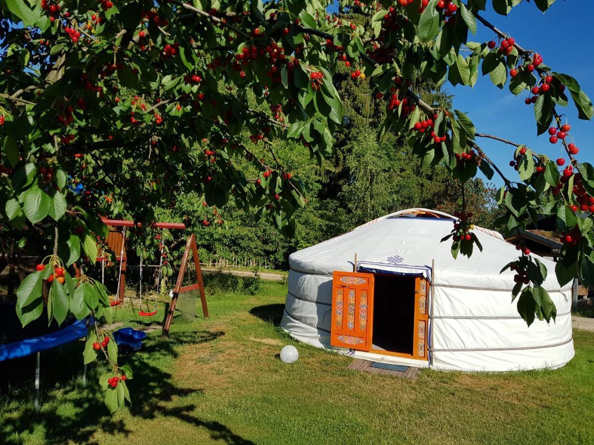 Pension New Nomads Zesch Экстерьер фото